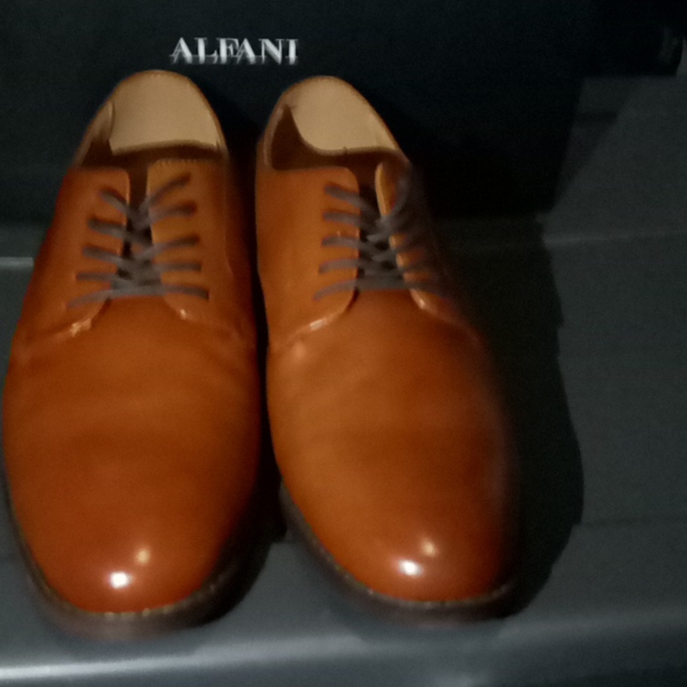 Alfani shoes